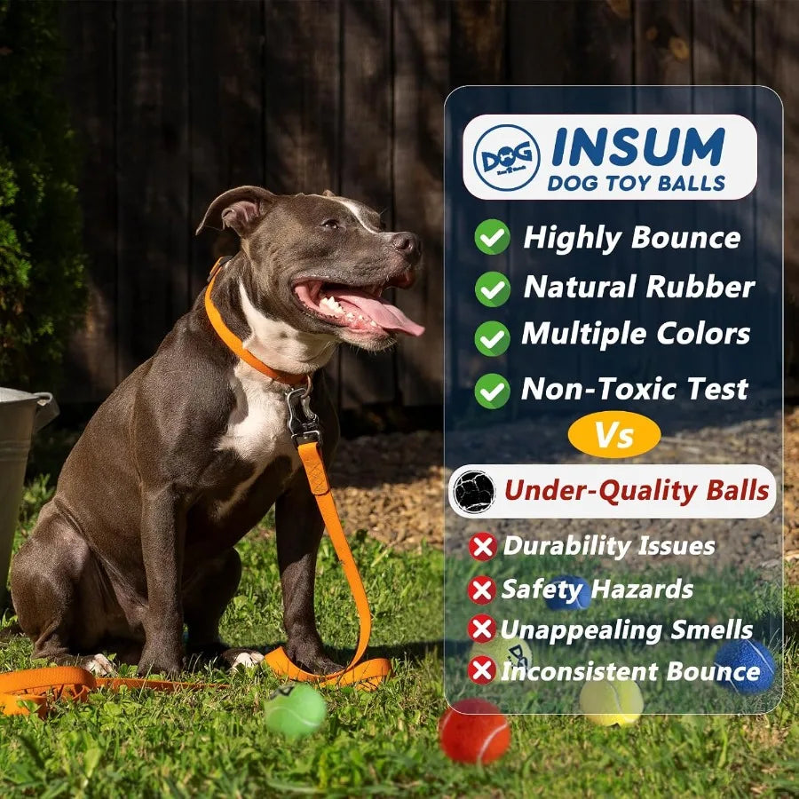 Dog Tennis Balls Squeaky 50 Pack Outdoor Dog Toys Set
