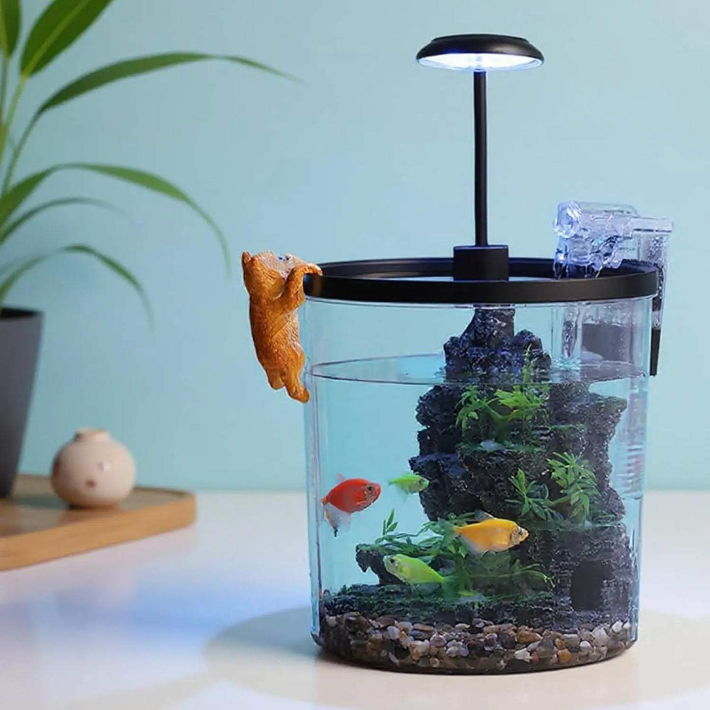 HiMISS Betta Fish Tank Starter Kit Acrylic for Beginners