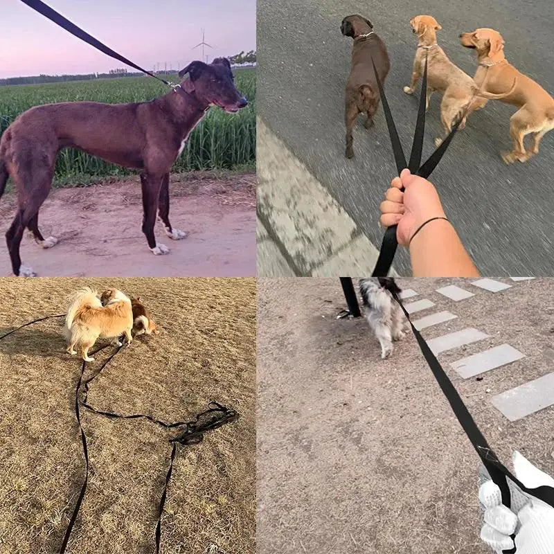 Dog Leash Nylon Heavy-Duty Training Lead For All Dogs