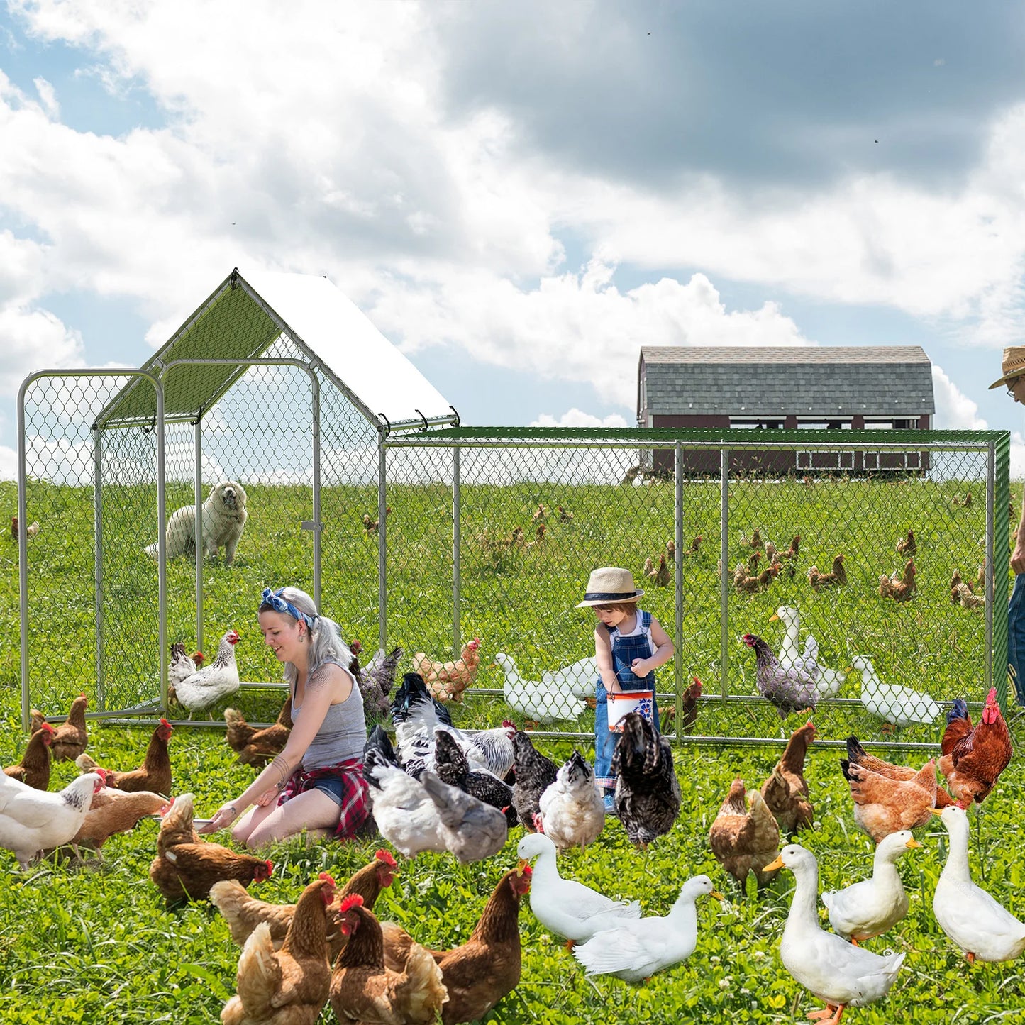 HiMISS Poultry Cage Walk-In Iron Frame With Waterproof Cover
