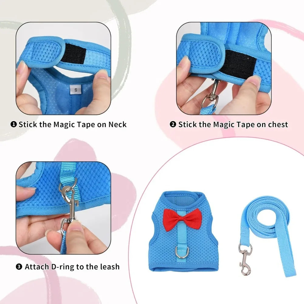 Bunny Harness and Leash Set With Breathable Mesh Vest