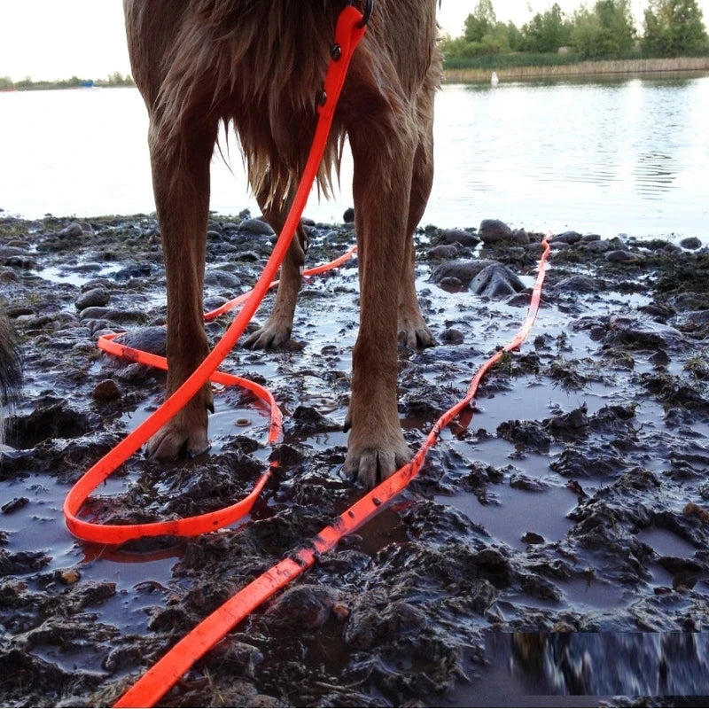 Dog Leash Waterproof PVC Durable Easy Clean Walking Lead