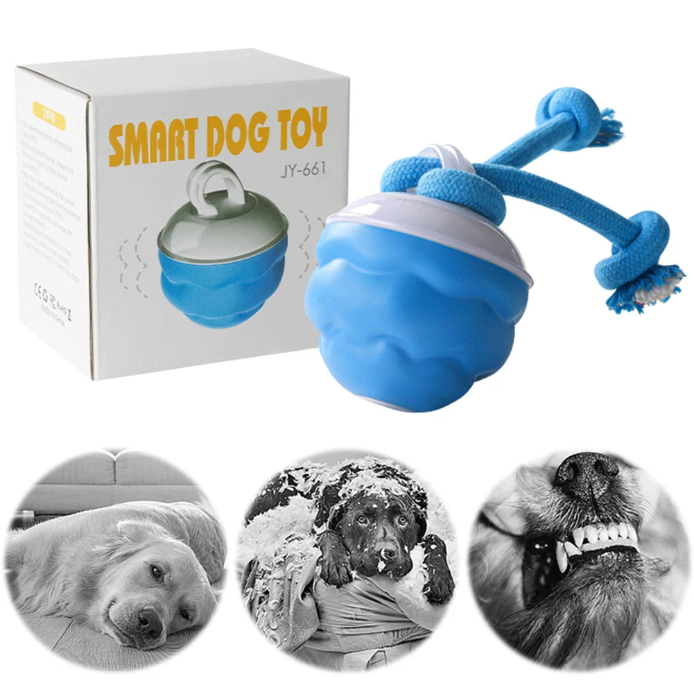 APWIKOGERE Dog Toy Electric Rolling Ball With Rope