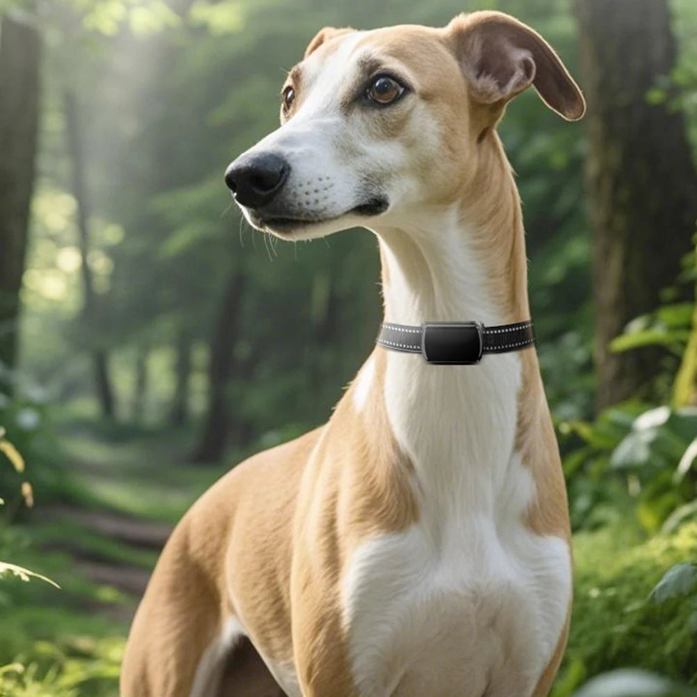 Pet GPS Tracker With Adjustable Collar Locator For Cats