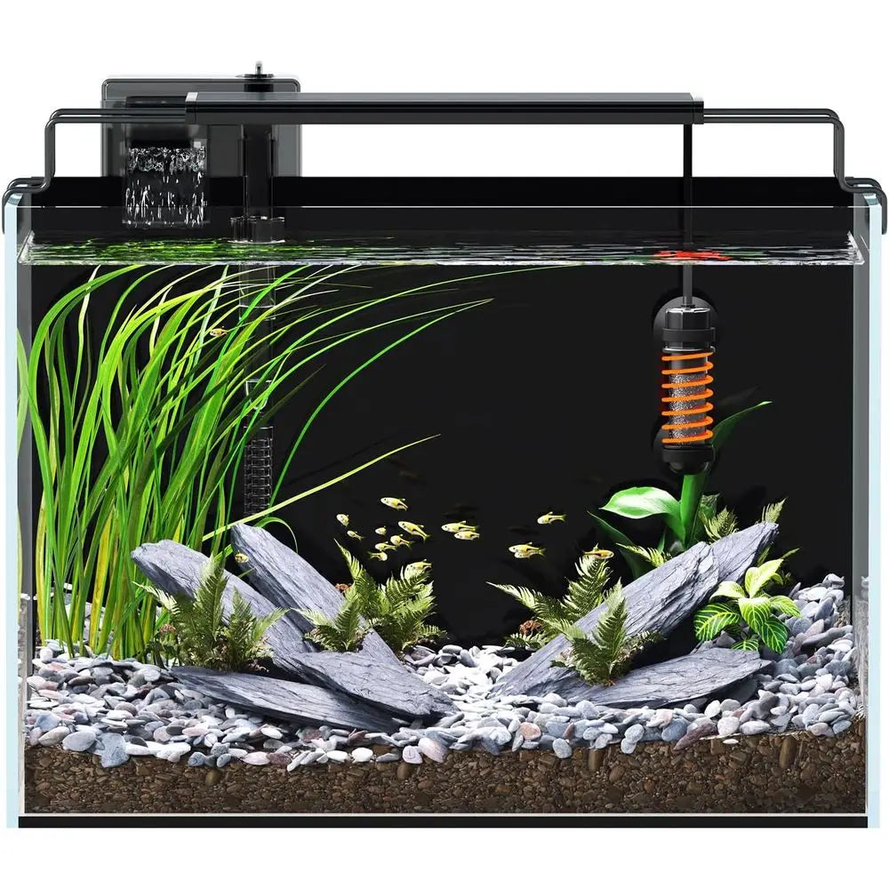 Rimless Glass Aquarium Kit with Filter and Heater