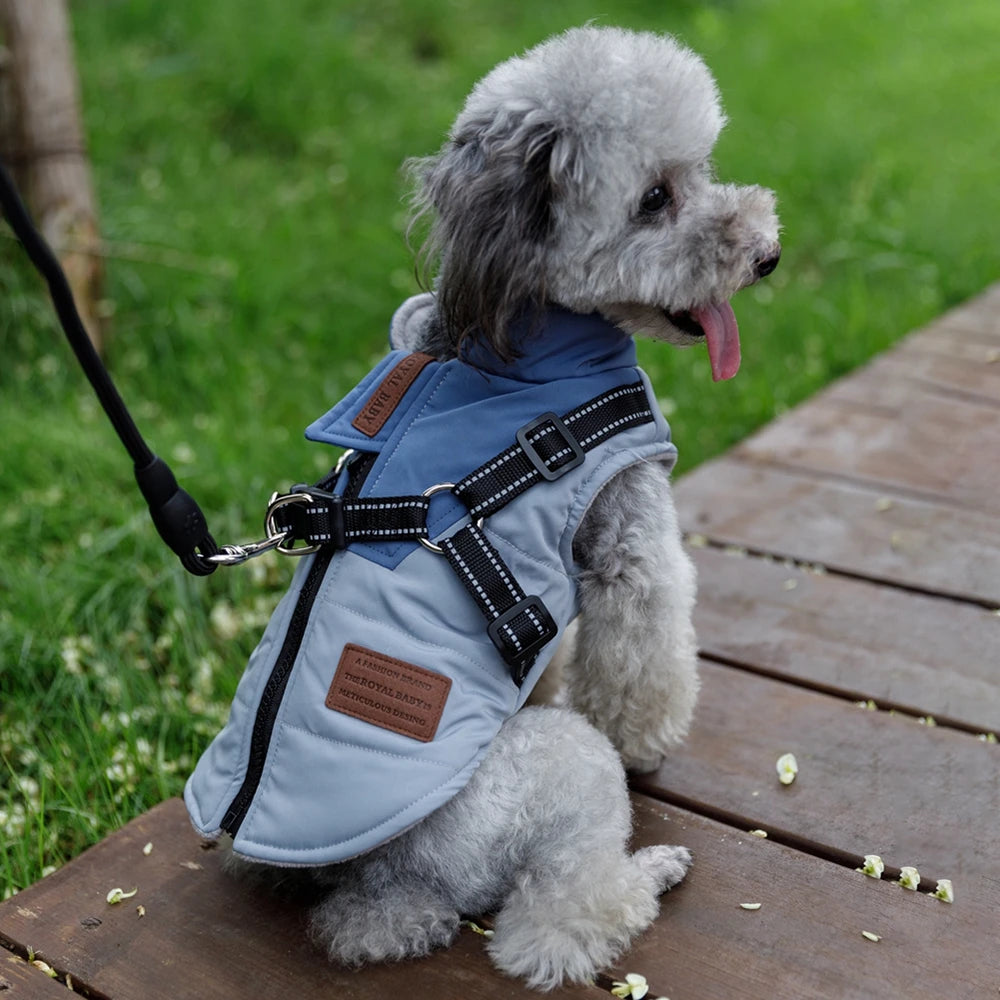 Dog Winter Jacket With Harness Waterproof Cotton Coat