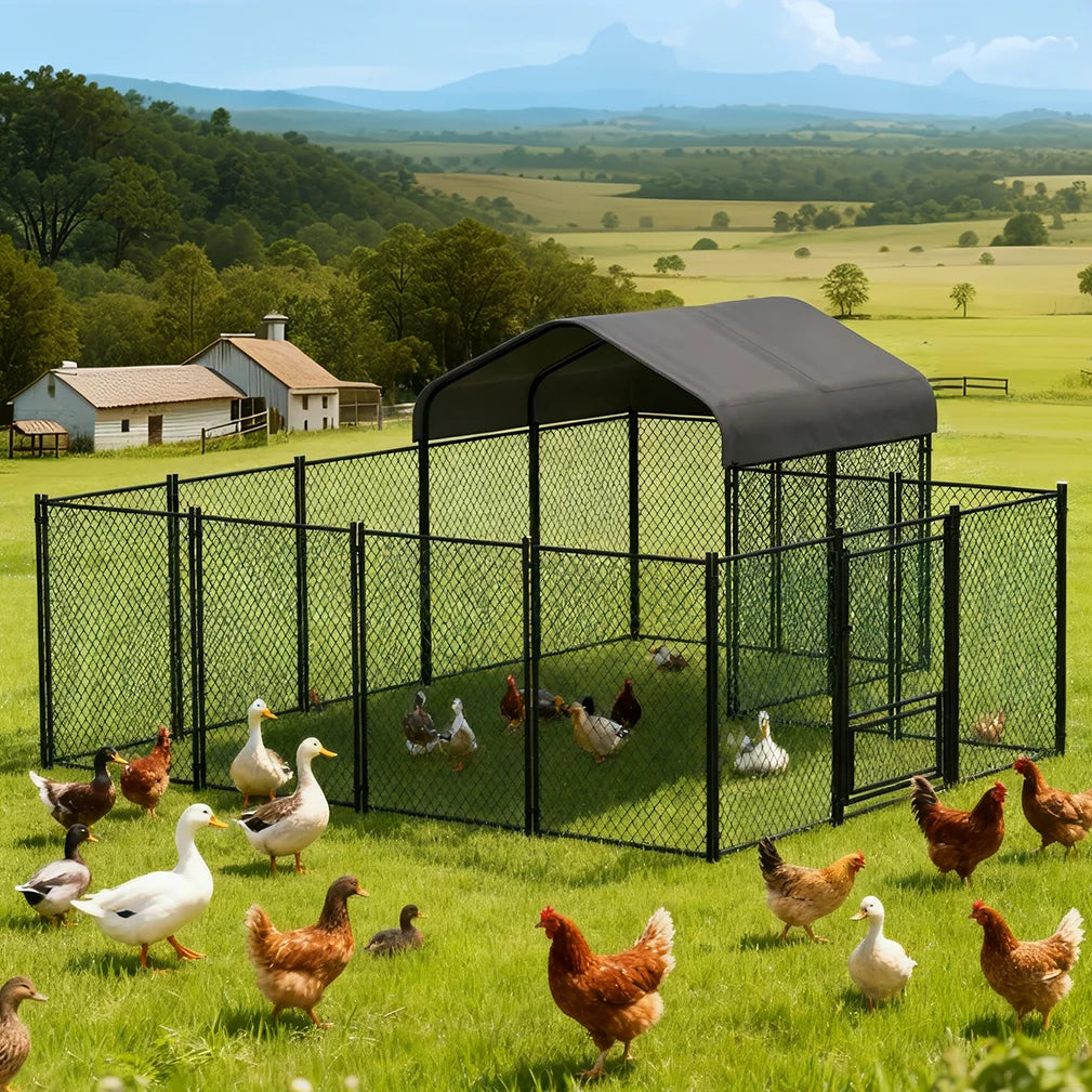 BORWART Walk-In Chicken Coop With Gate And Lock