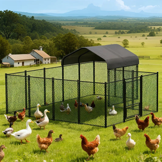 BORWART Walk-In Chicken Coop With Gate and Lock Iron Mesh