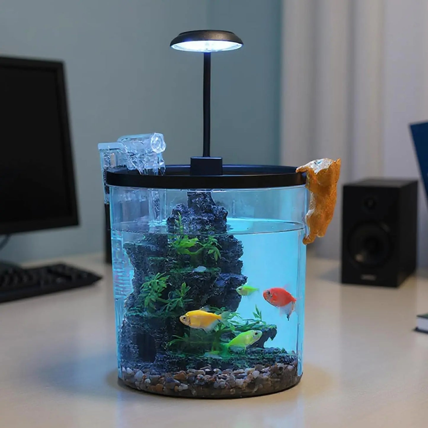 HiMISS Betta Fish Tank Starter Kit Acrylic for Beginners