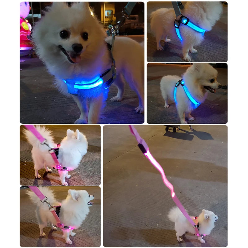 Dog Harness Nylon