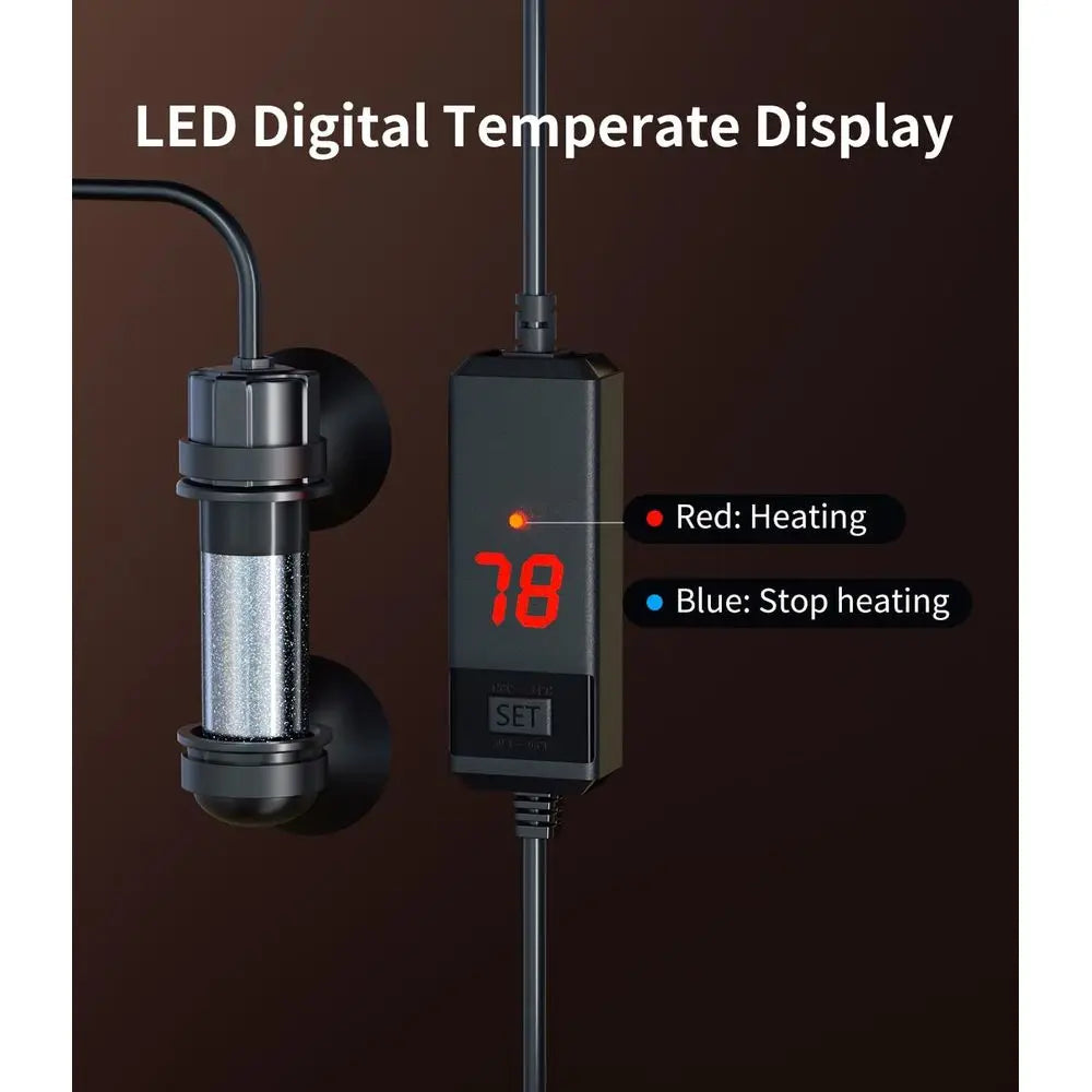 Rimless Glass Aquarium Kit with Filter and Heater