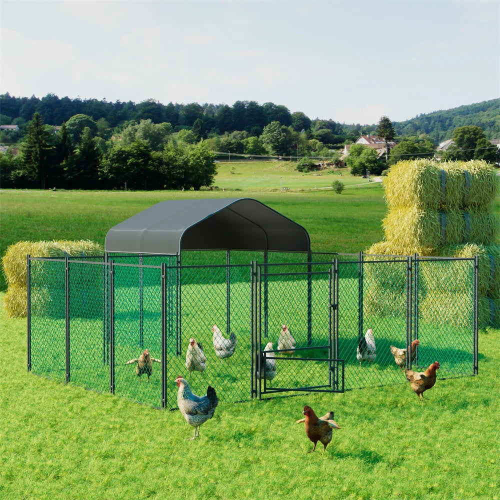 BORWART Walk In Chicken Coop With Waterproof UV Cover