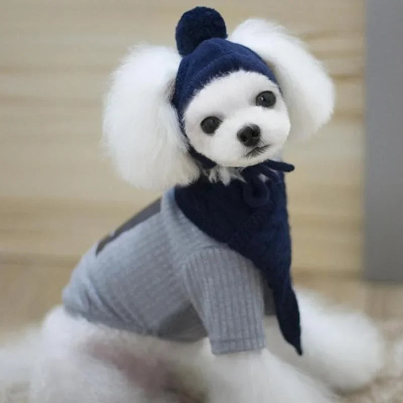 Dog Hat Winter Knit With Scarf Collar Costume For Pets