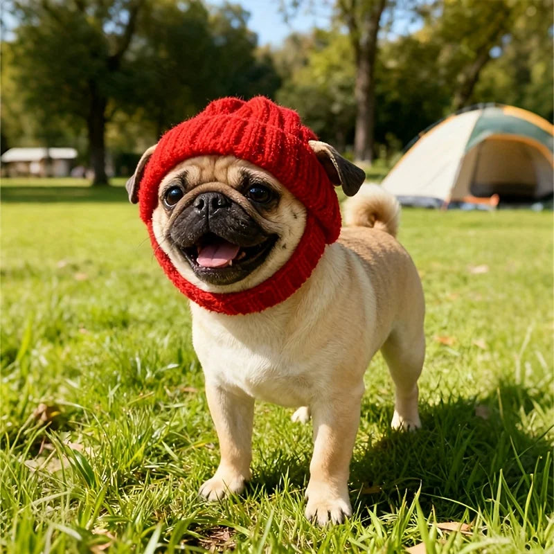 Dog Hat Knitted With Ear Holes