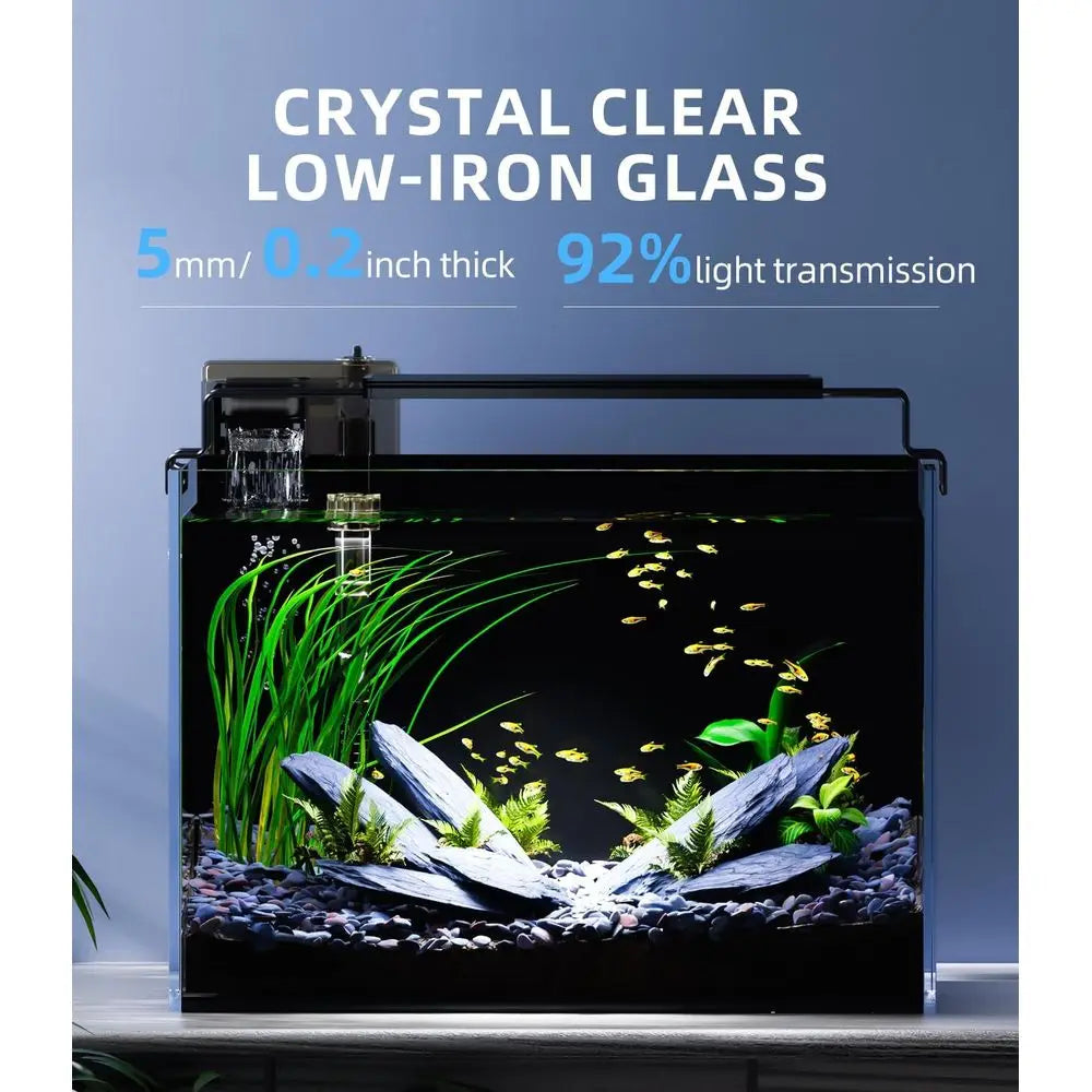 Rimless Glass Aquarium Kit with Filter and Heater