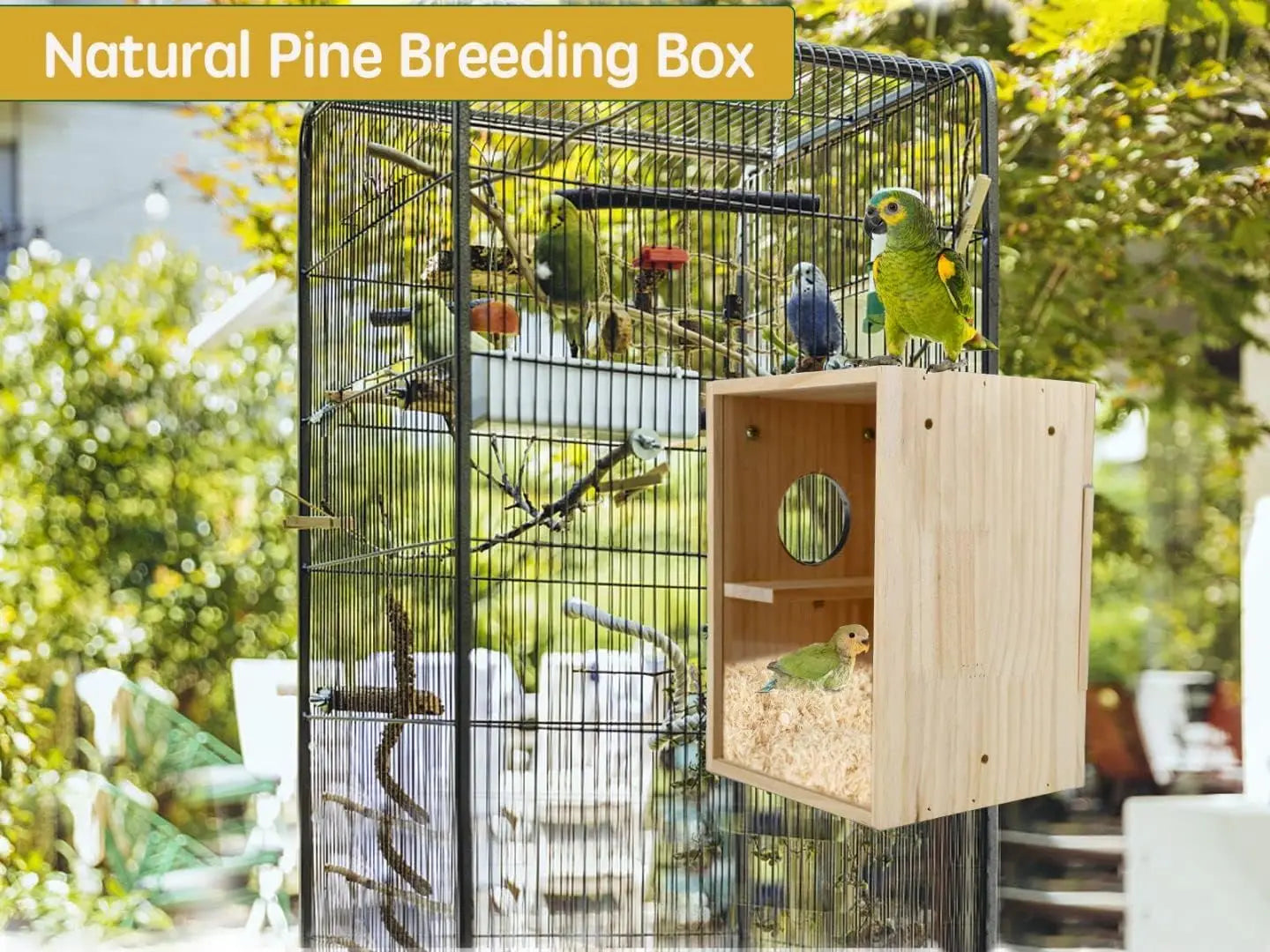 Bird Nest Box With Wooden And Clear Acrylic Panels