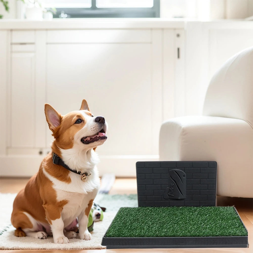 Dog Grass Pad With Large Tray Indoor And Outdoor Use