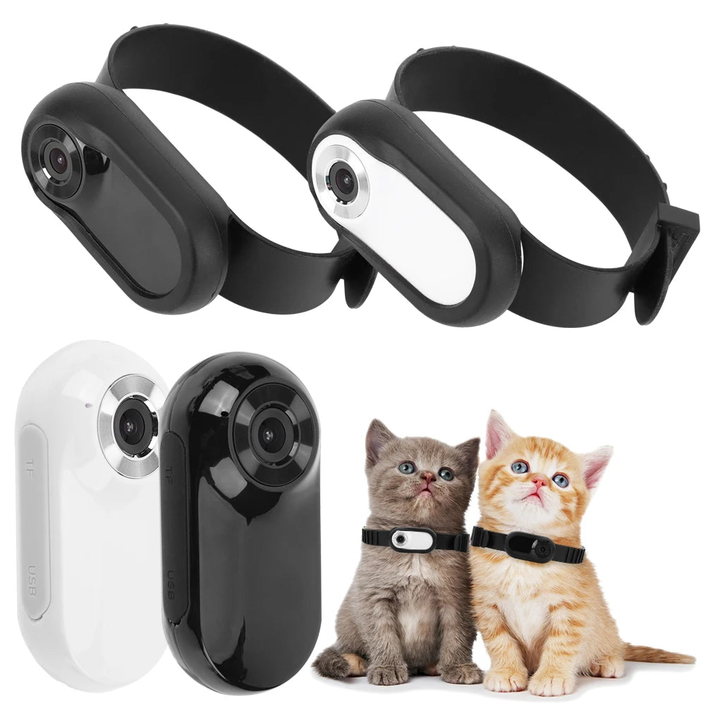 APWIKOGER Pet Collar Camera Wireless HD 1080P Nanny Cam