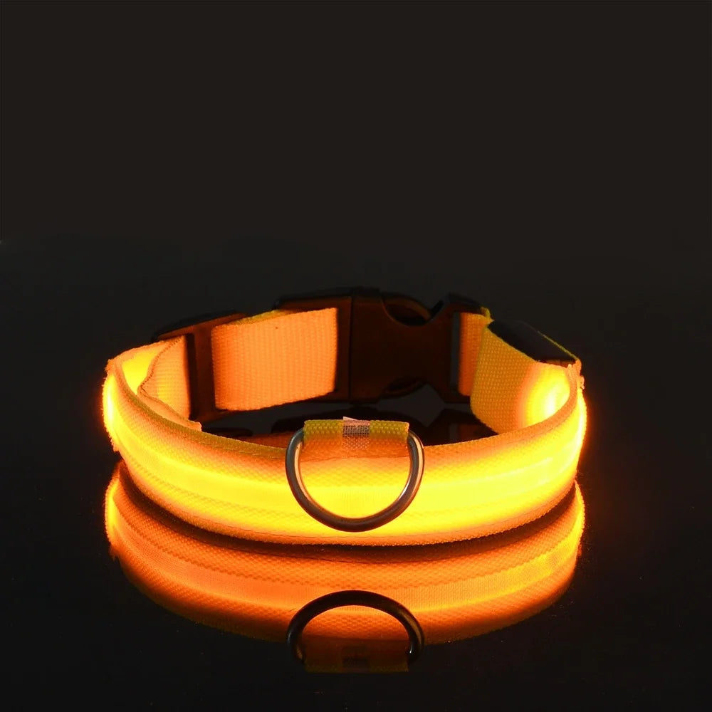 NONECN Dog Leash Luminescent Night Led Glow For Night Walks