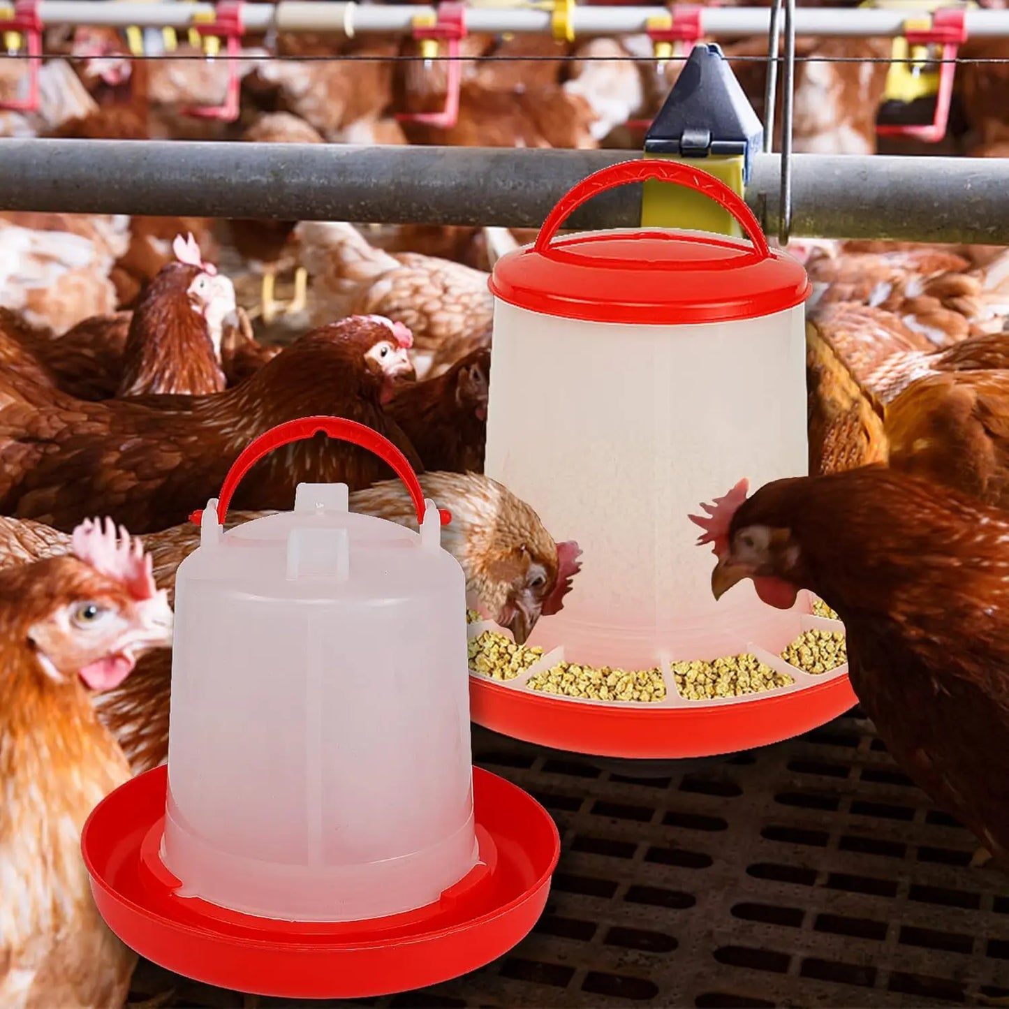 Chicken Feeder Waterer Automatic Poultry Dispenser
