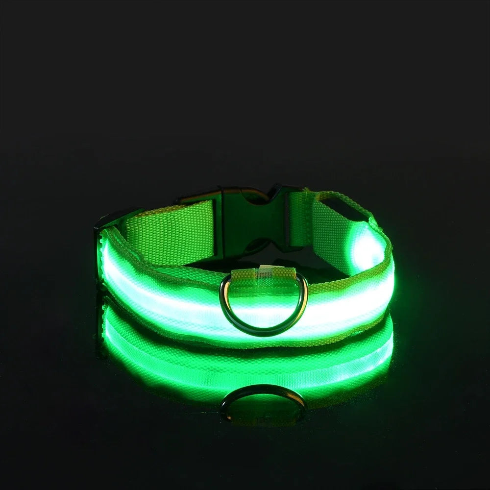 Leash LED Night Walk Accessory For Dogs Premium Durable Quality