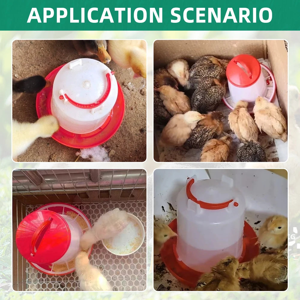 Chicken Feeder Waterer Automatic Poultry Dispenser