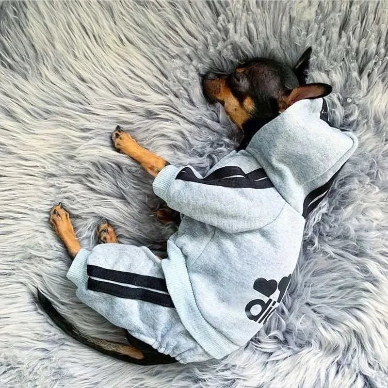 Dog Jumpsuit Hooded Pet Clothing For All Breeds Worldwide