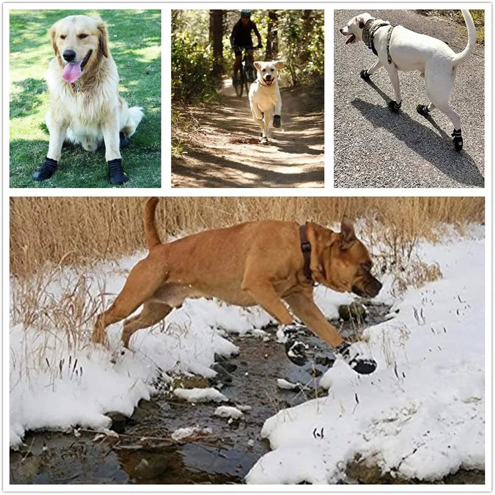 Dog Shoes Waterproof Booties for Everyday Travel Gear