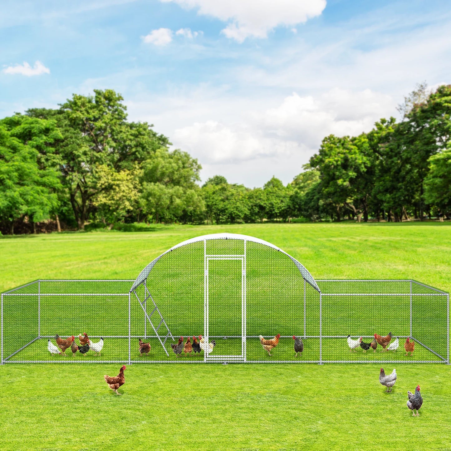 Chicken Coop Walk-In Galvanized Dome-Roof 3-Room Pen