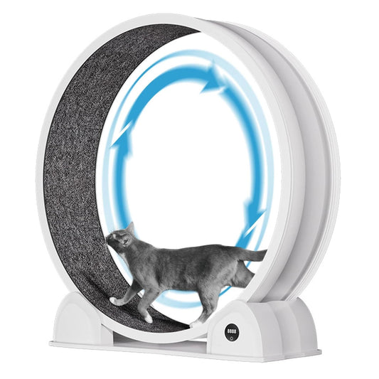 HiMISSCN Cat Exercise Wheel ABS Quiet Indoor Treadmill for Cats
