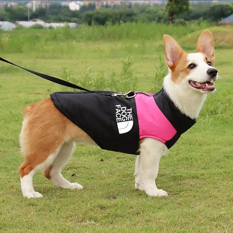 YUNFANCN Leather Dog Coat Padded Winter Jacket With Zipper