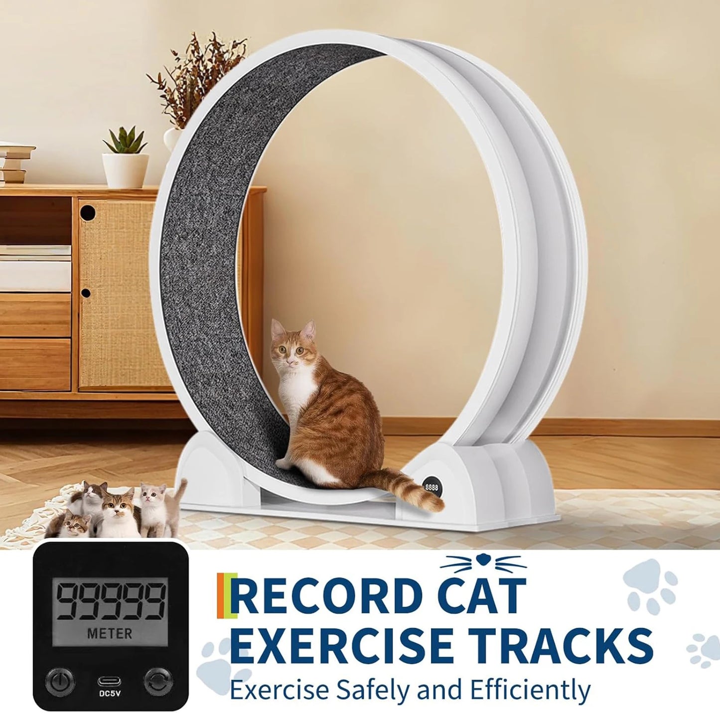 HiMISSCN Cat Exercise Wheel ABS Quiet Indoor Treadmill for Cats