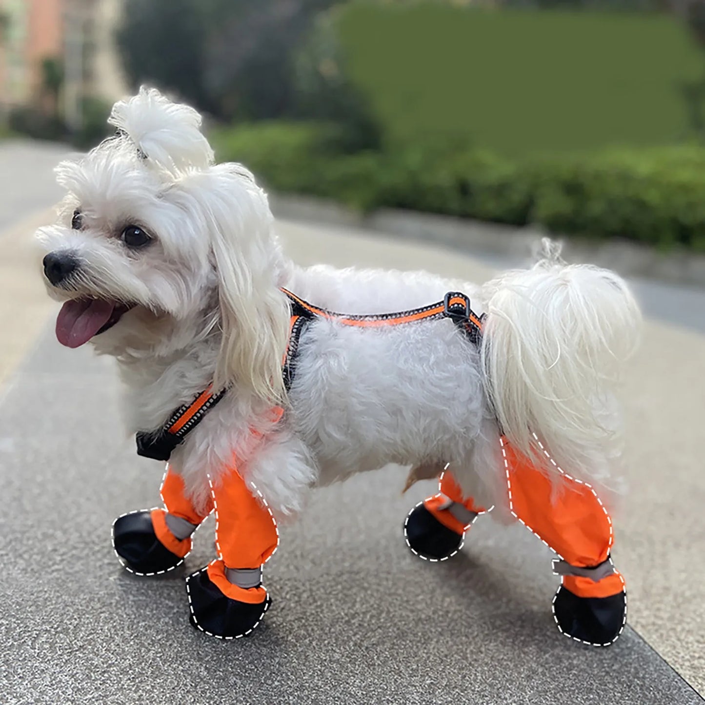 Dog Boots Waterproof For Daily Walks For All Pets Quality
