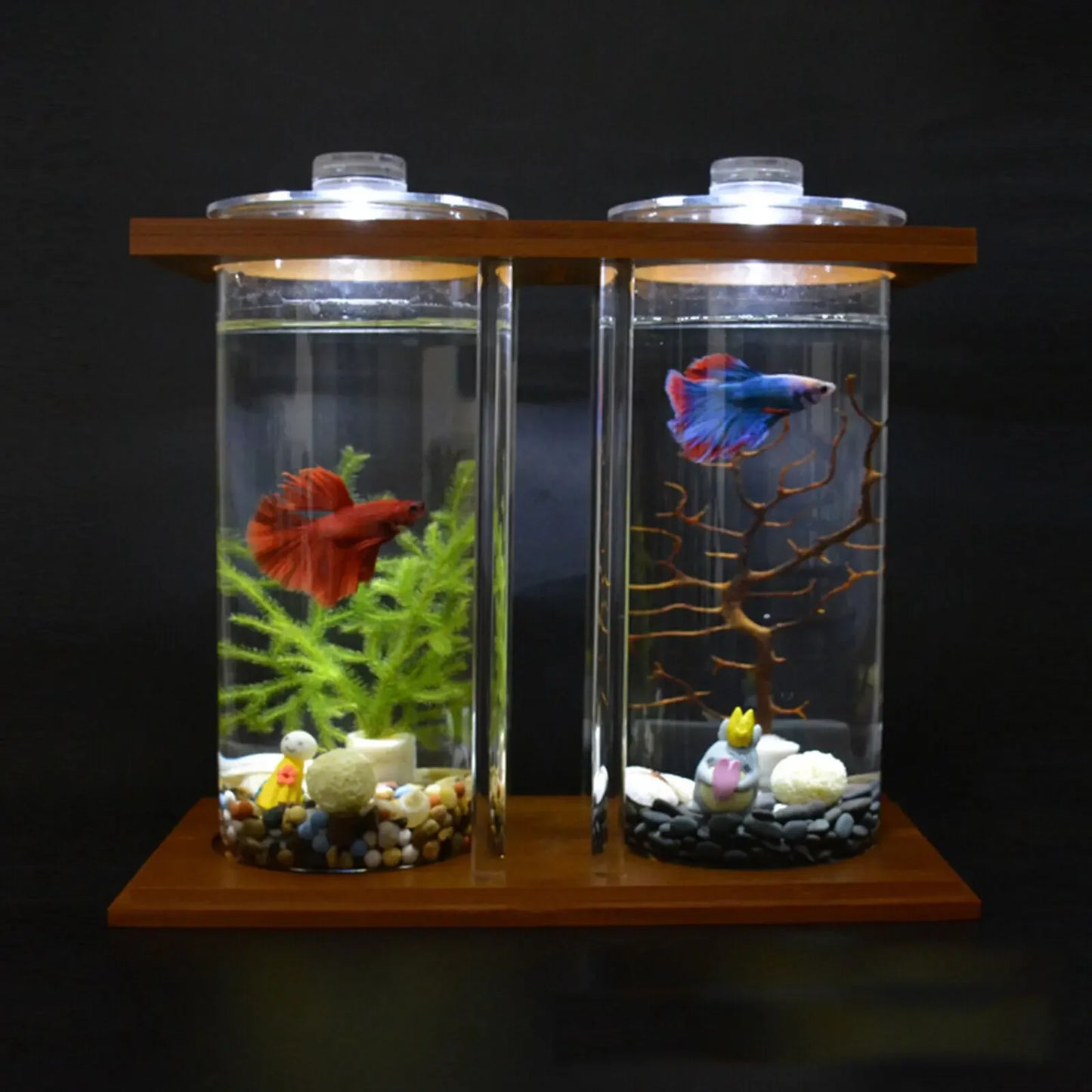 Glass Betta Tank With LED Light For Desktop Office Decoration