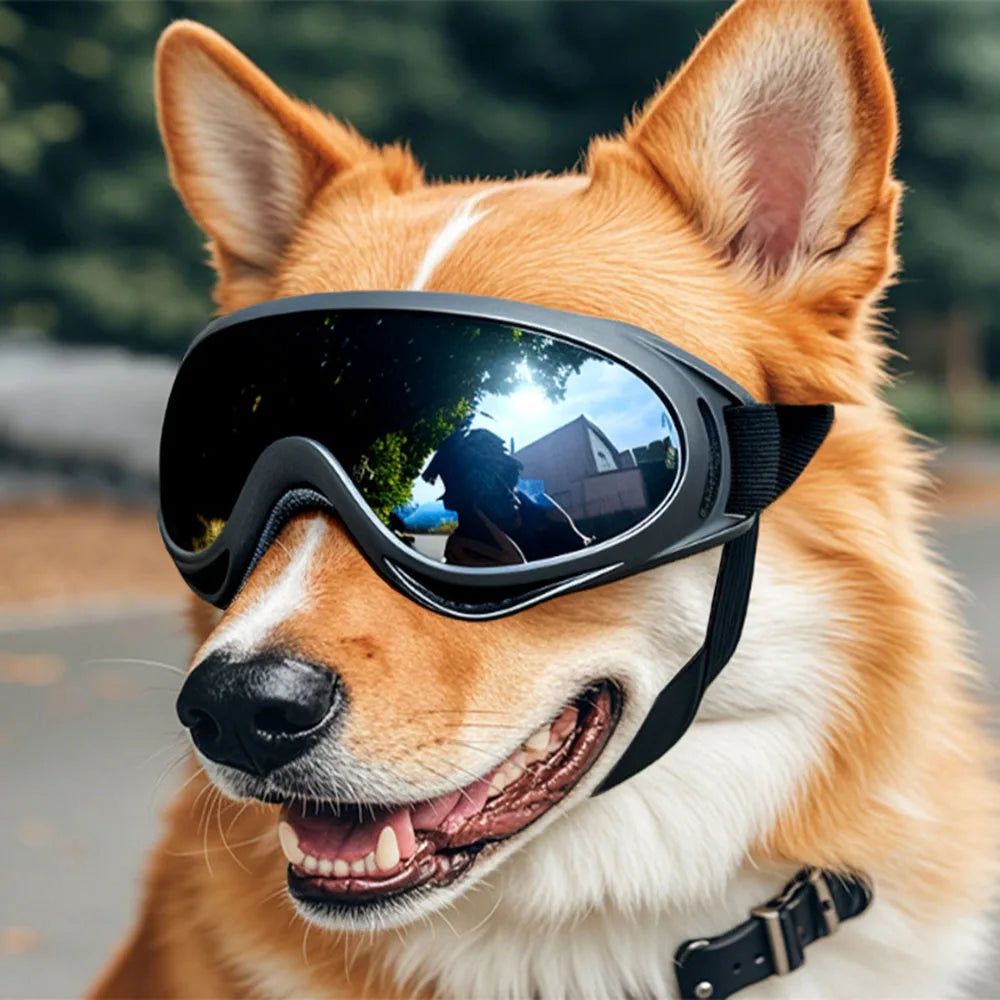 Dog Goggles Anti-UV Pet Eyewear For Eye Protection