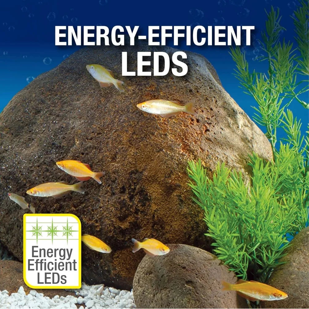 Professional Rectangular Glass Fish Tank with LED Lighting and Accessories