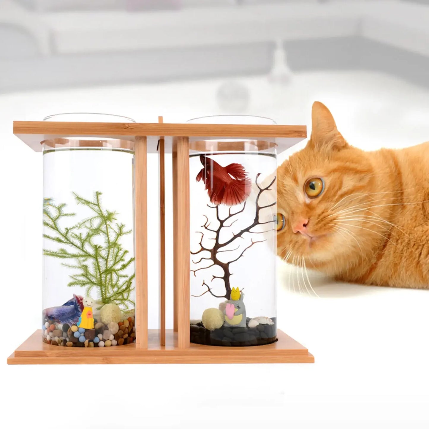 Glass Betta Tank With LED Light For Desktop Office Decoration