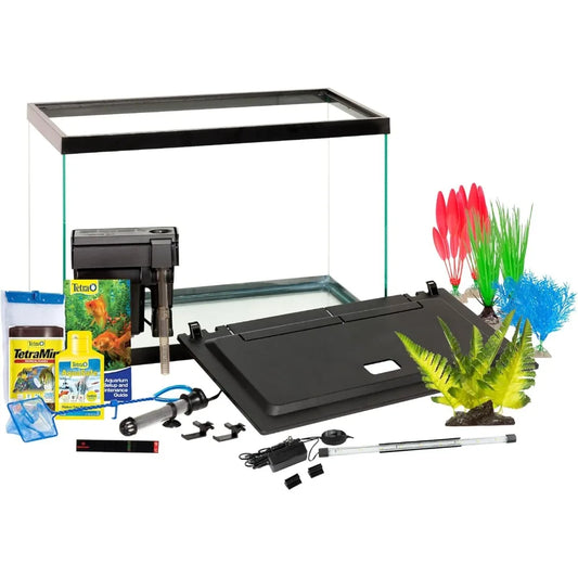 Professional Rectangular Glass Fish Tank with LED Lighting and Accessories