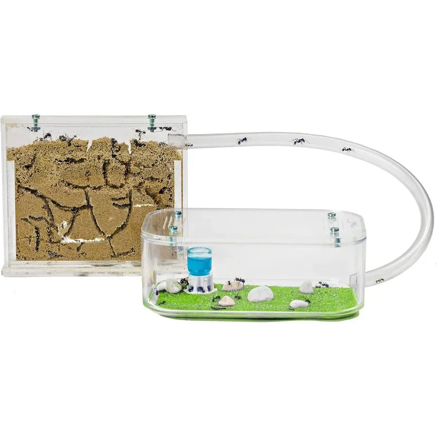 Educational Natural Sand Ant Farm Acrylic Kit for Indoor Exploration