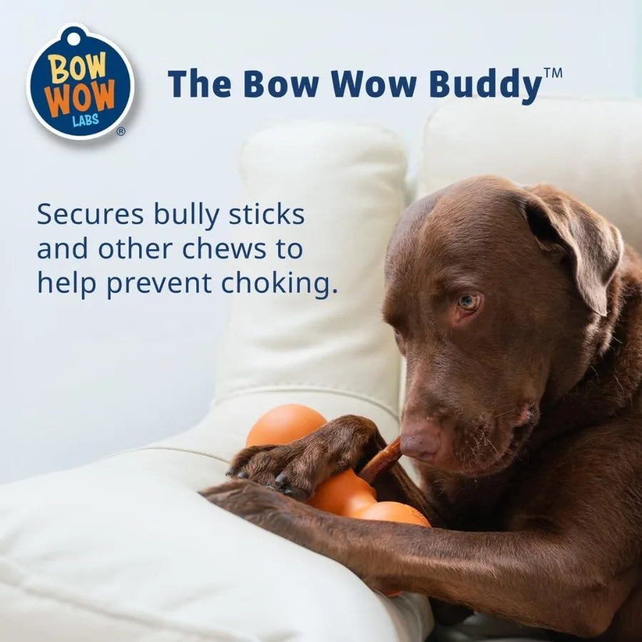 Dog Safety Device Anti-Choking Bow Wow Buddy Starter Kit