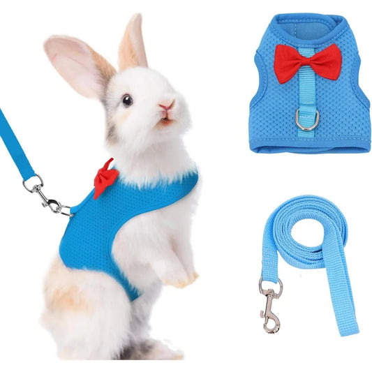 Bunny Harness and Leash Set With Breathable Mesh Vest