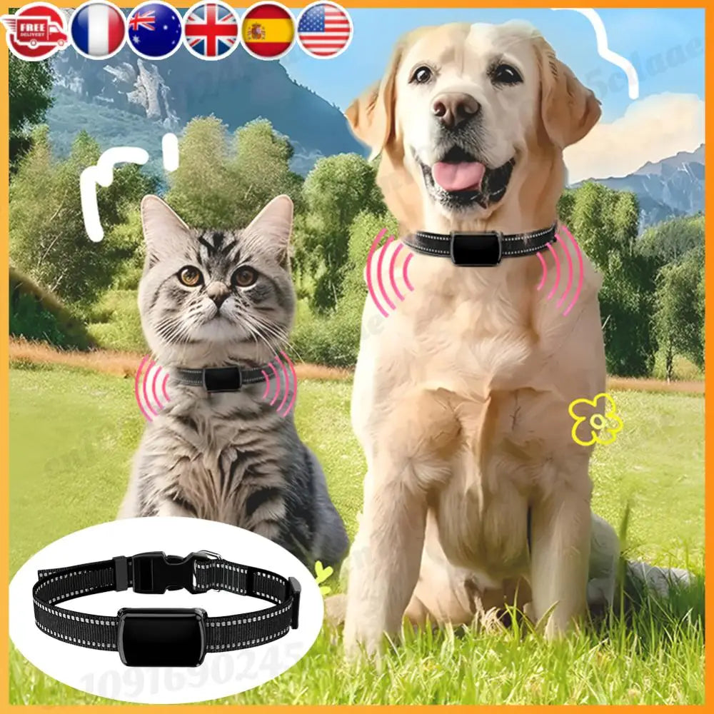Pet GPS Tracker With Adjustable Collar Locator For Cats