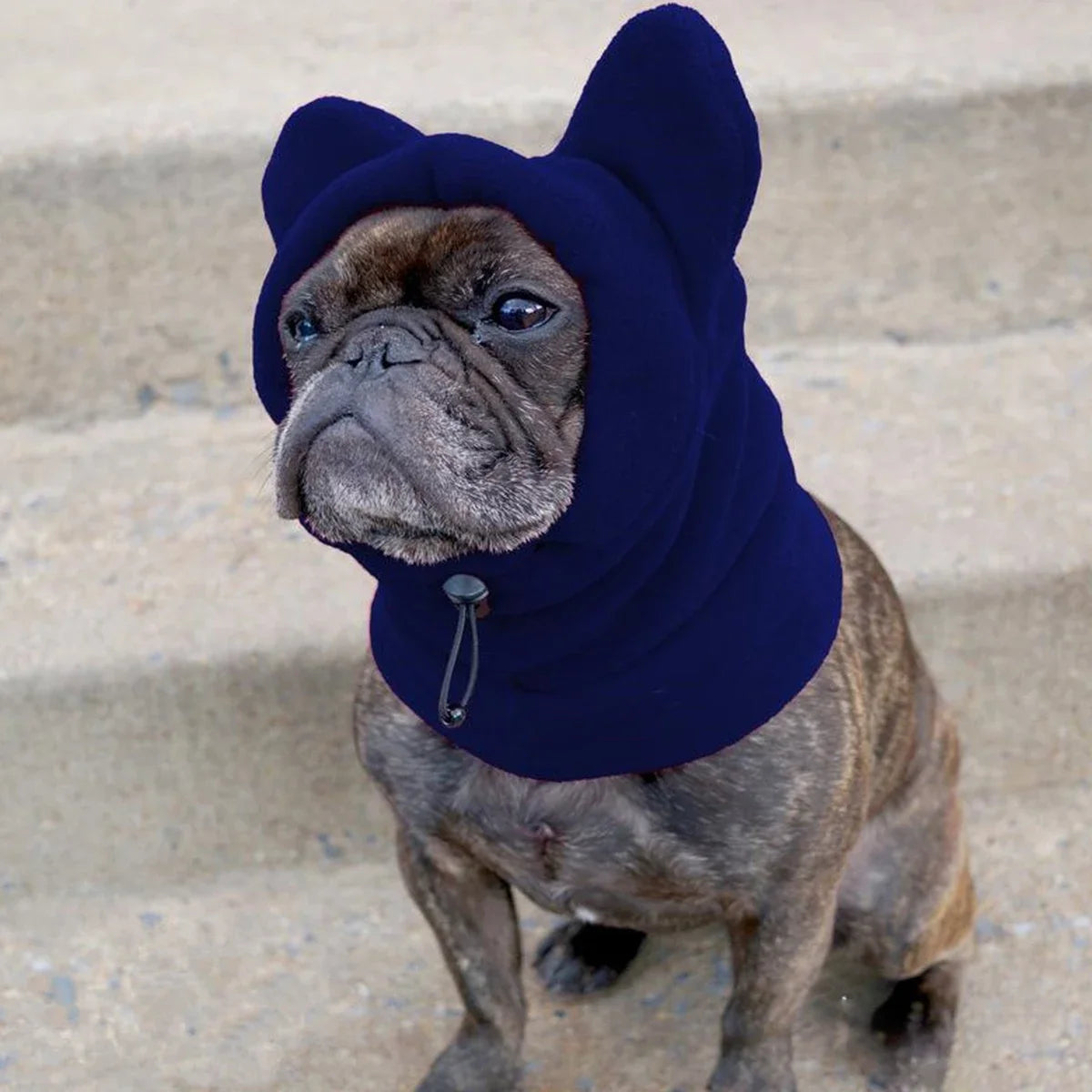 Dog Hat Fleece Bat Adjustable Winter Hat For French Bulldogs