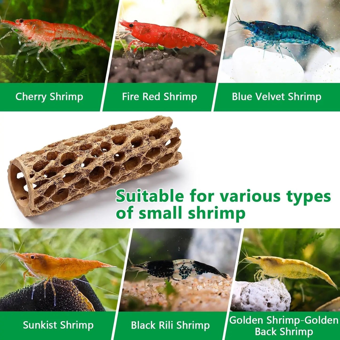 Resin Cholla Wood Aquarium Decoration Realistic Shrimp Hideouts