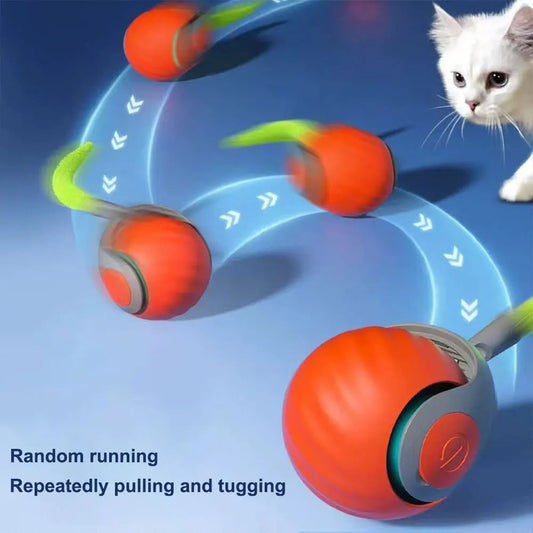 Pet Toy Ball Interactive Play For Cats And Dogs Worldwide