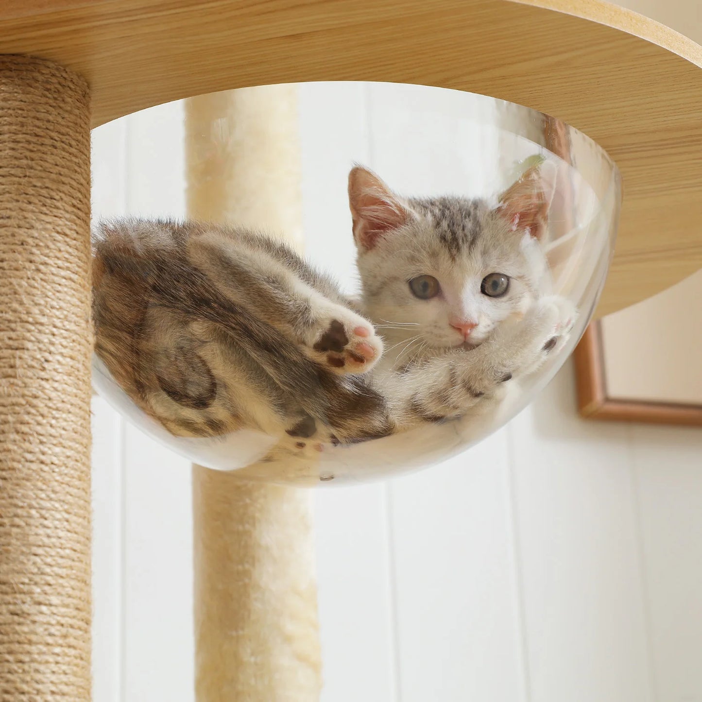 PAWZ Road Cat Tree Wooden Multi-Level With Scratching Posts