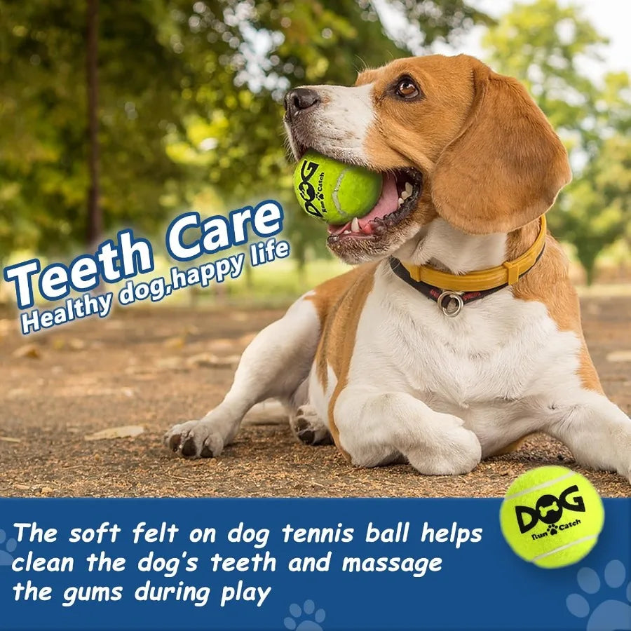 Dog Tennis Balls Squeaky 50 Pack Outdoor Dog Toys Set