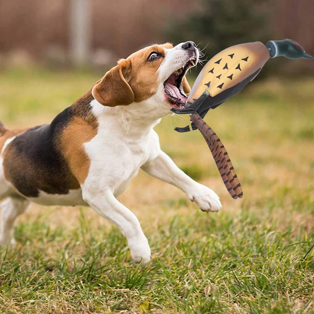 HiMISSH Dog Toy Pheasant Leather Dummy for Retrieval Training