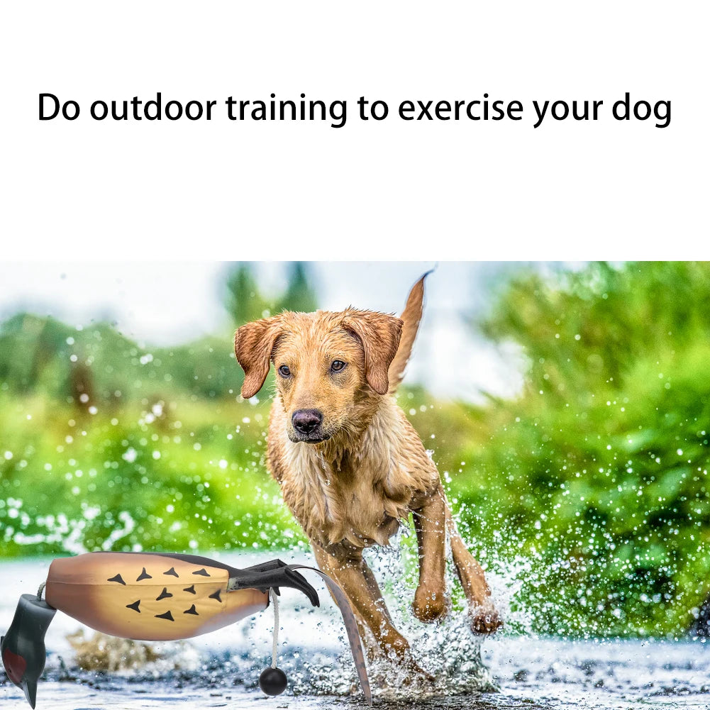 HiMISSH Dog Toy Pheasant Leather Dummy for Retrieval Training
