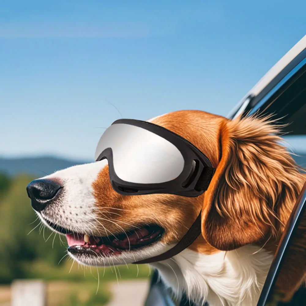 Dog Goggles Anti-UV Pet Eyewear For Eye Protection